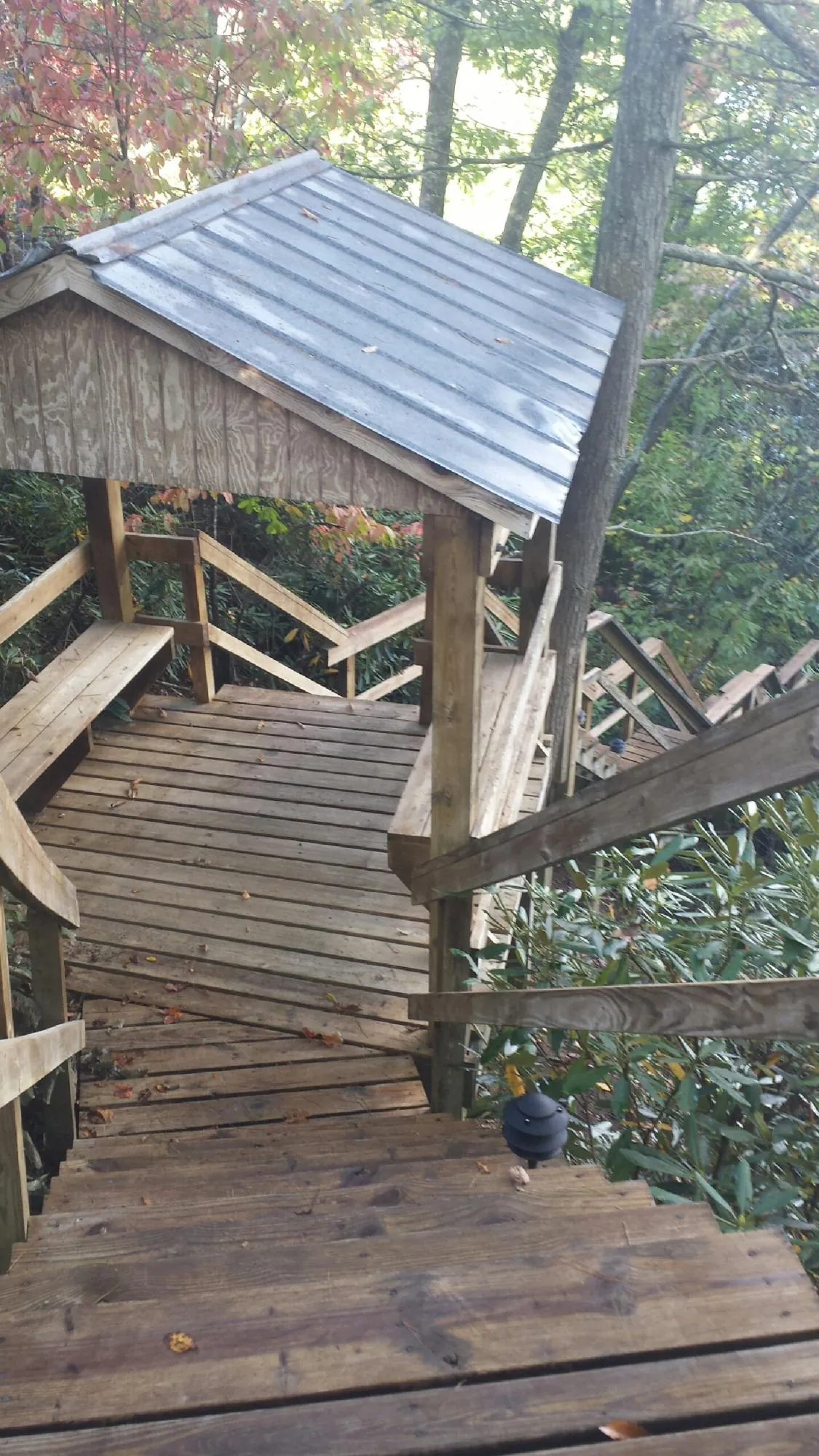 Metal roofed shelter over wooden steps on a wooded walkway — Skylight Repair & Installation work by our crew in Raywood